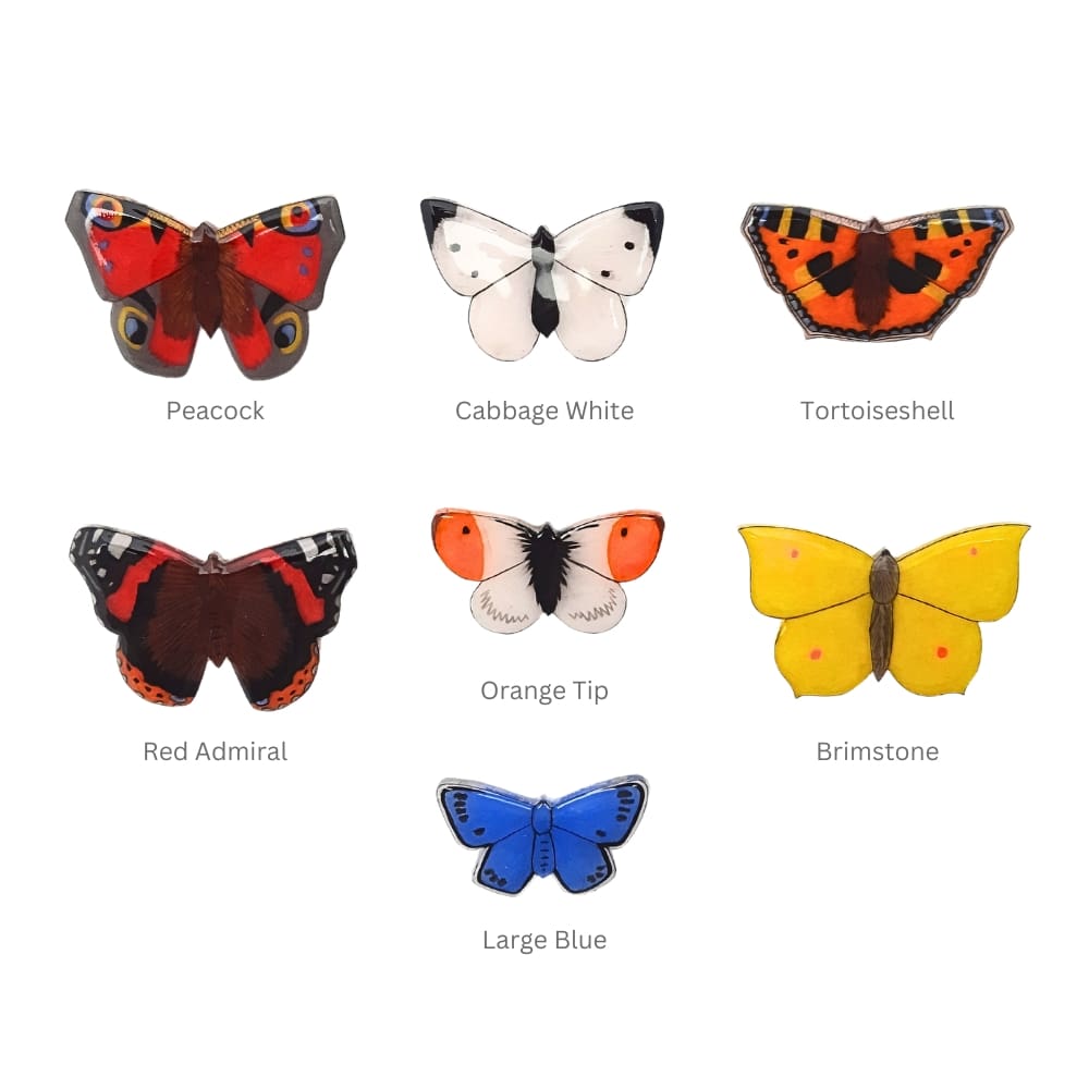 British butterfly brooches