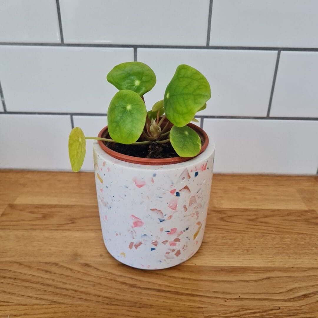 Classic terrazzo multi-use pot