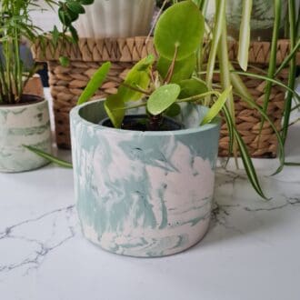 Large green plant pot