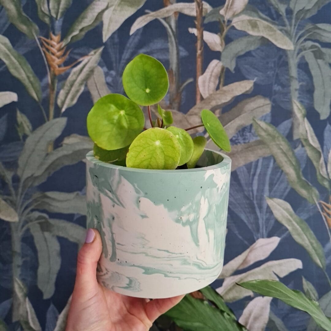Large green plant pot