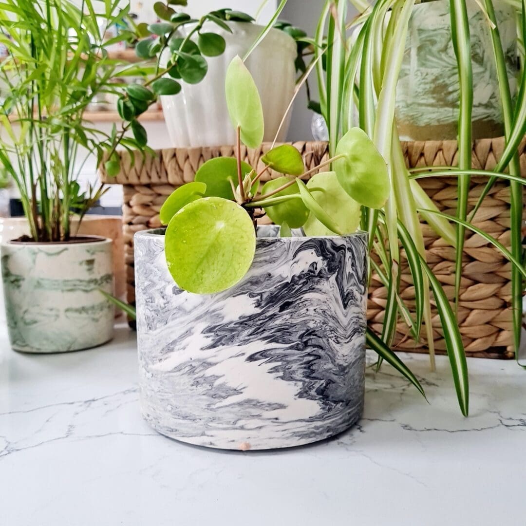 Black and white marble effect indoor planter