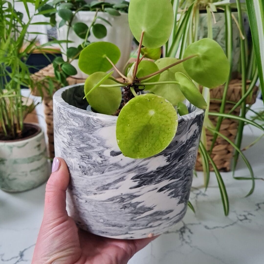 Black and white marble effect indoor planter