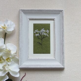 A handmade needle felted wool picture of a cow parsley flower on a green felt background and in a white shabby chic frame.