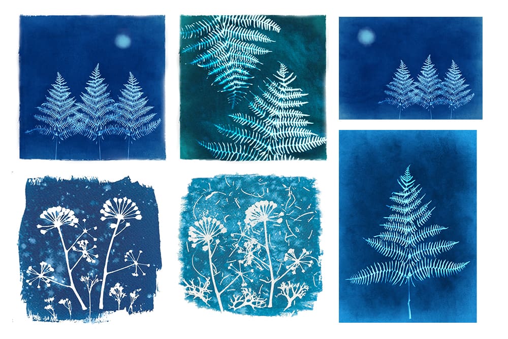 cyanotype selection