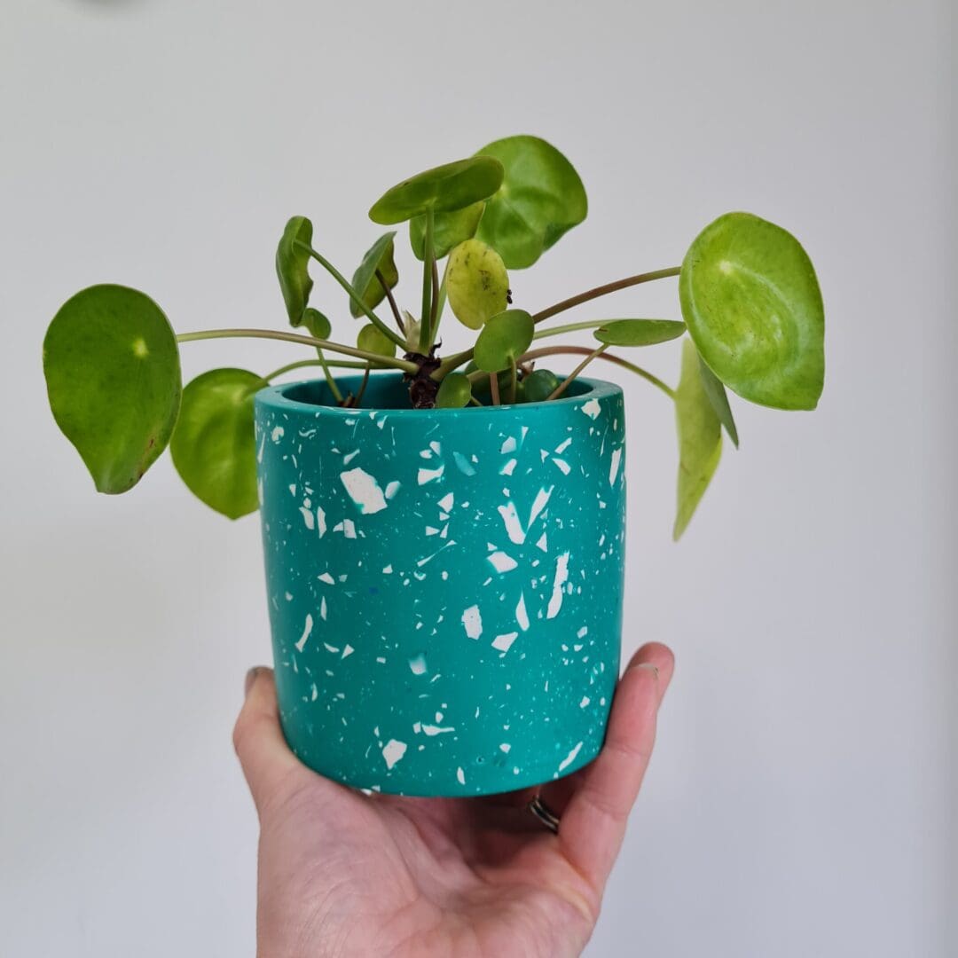 Green and white terrazzo multi use indoor pot