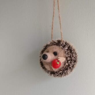 Hedgehog holding an apple