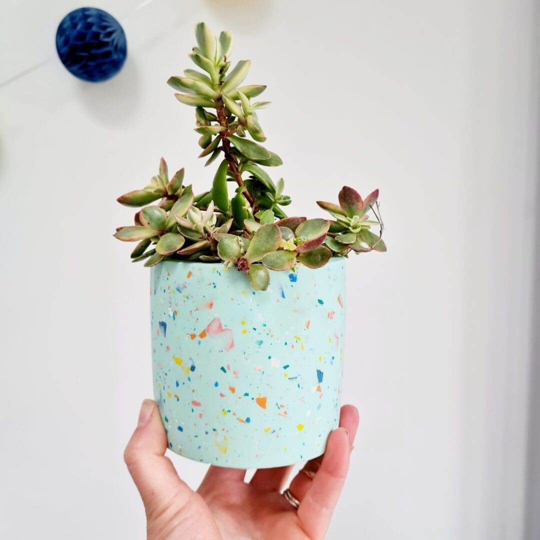 Mint green multi-use terrazzo pot