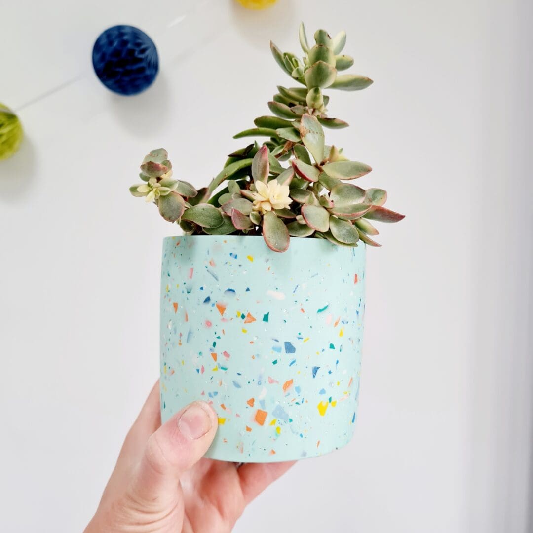 Mint green multi-use terrazzo pot