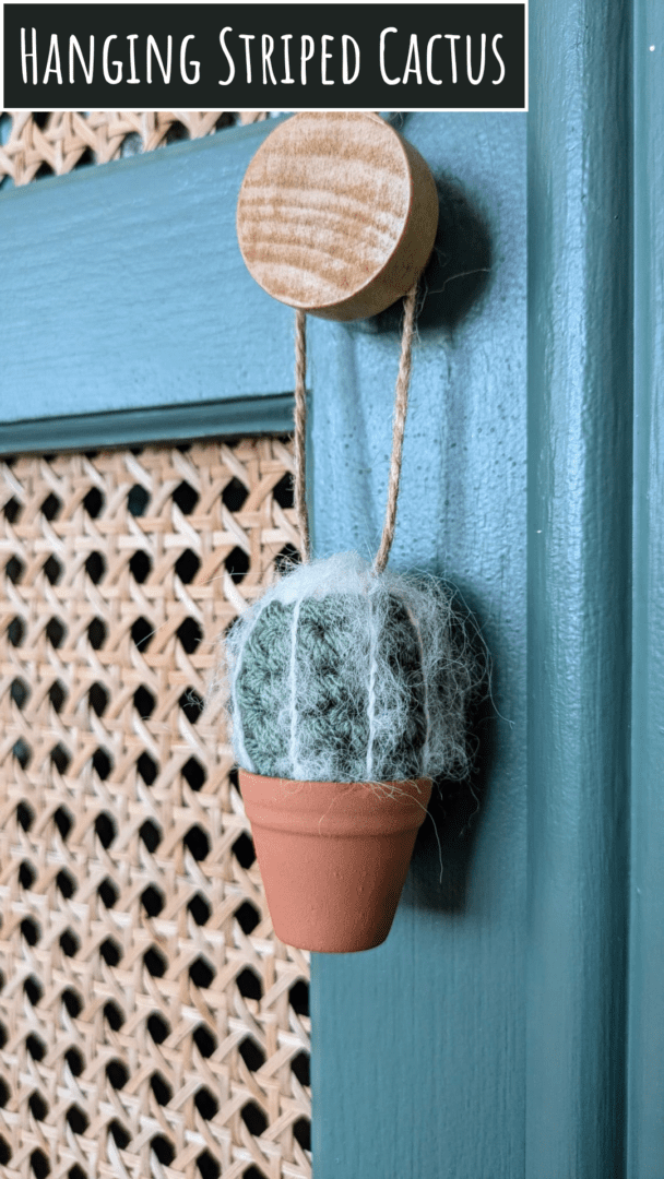 Hanging Striped Crochet Cactus in a Terracotta Pot