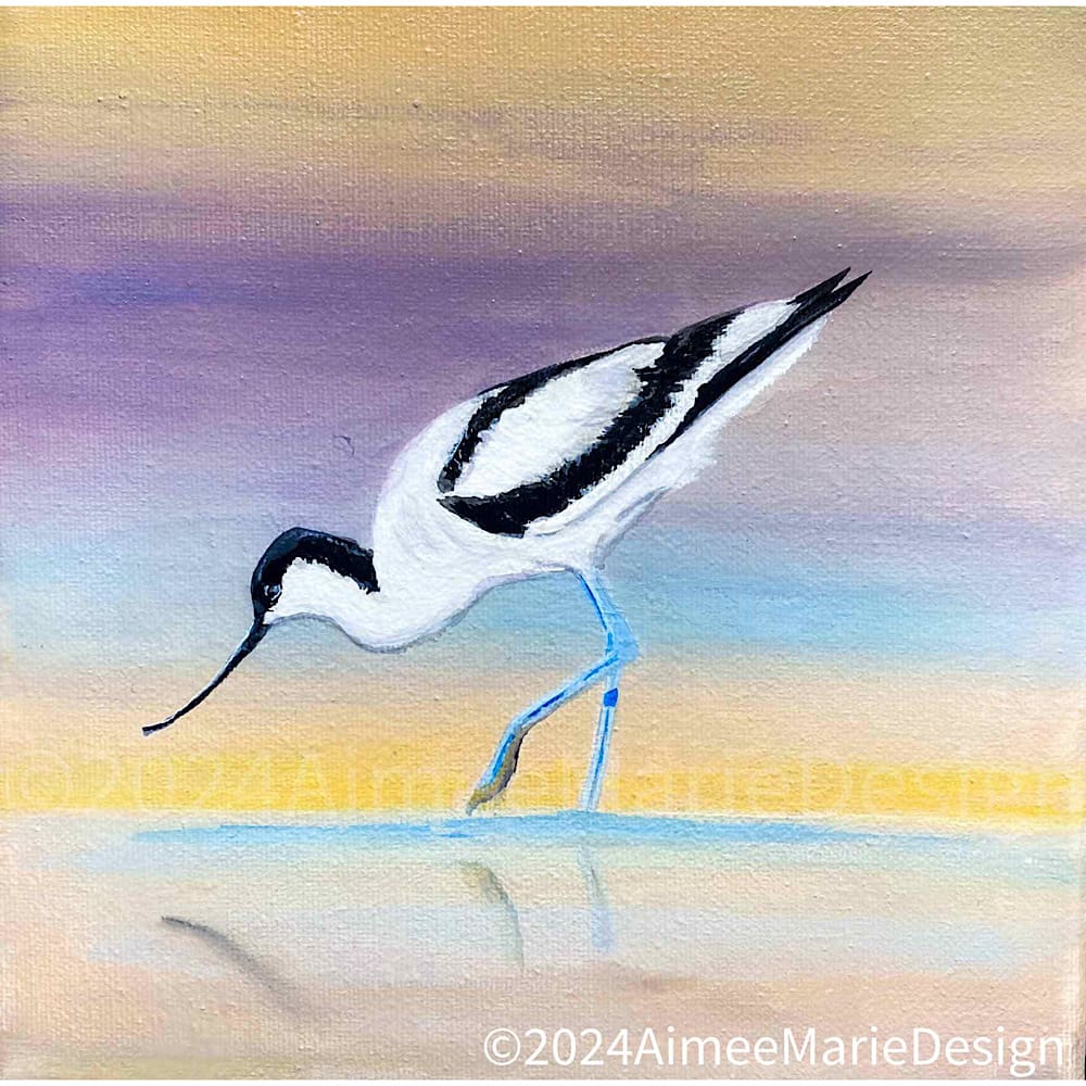 A beautiful avocet bird original painting on a background of calming colours - purples,yellows and blues. Acrylic on a square canvas 19 x 19 cm.