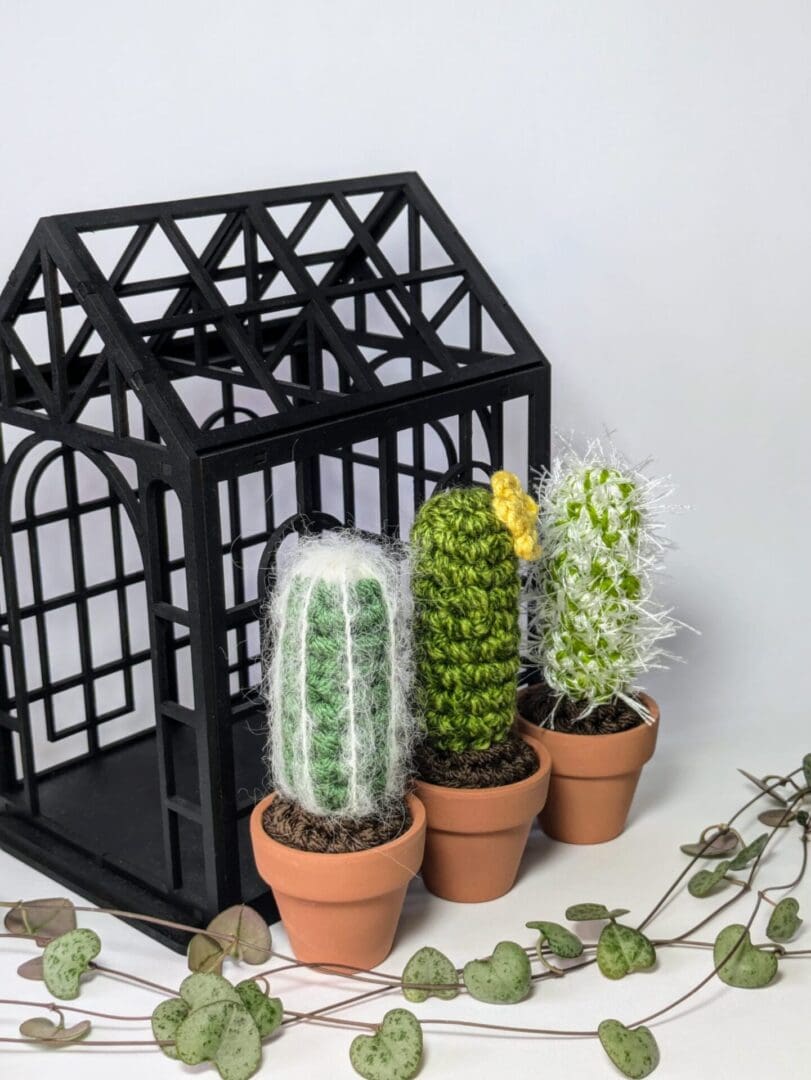 Black Decorative Laser Cut Greenhouse with Crochet Cacti