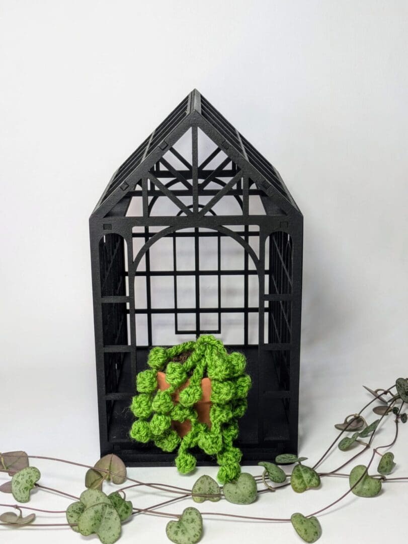 Black Decorative Laser Cut Greenhouse with Crochet String of Pearls Succulent