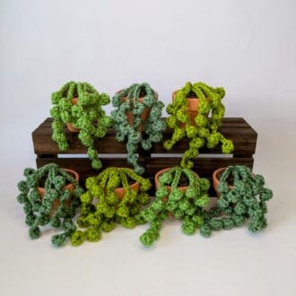Collection of Crochet String of Pearls Succulent Plant on Mini Wooden Crates