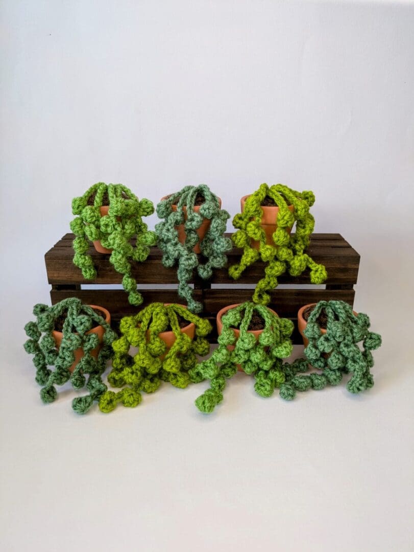 Crochet Plants -Collection of Crochet String of Pearls Succulent Plant on Mini Wooden Crates