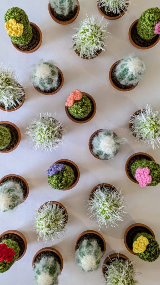 Multiple Crochet Cacti from Above