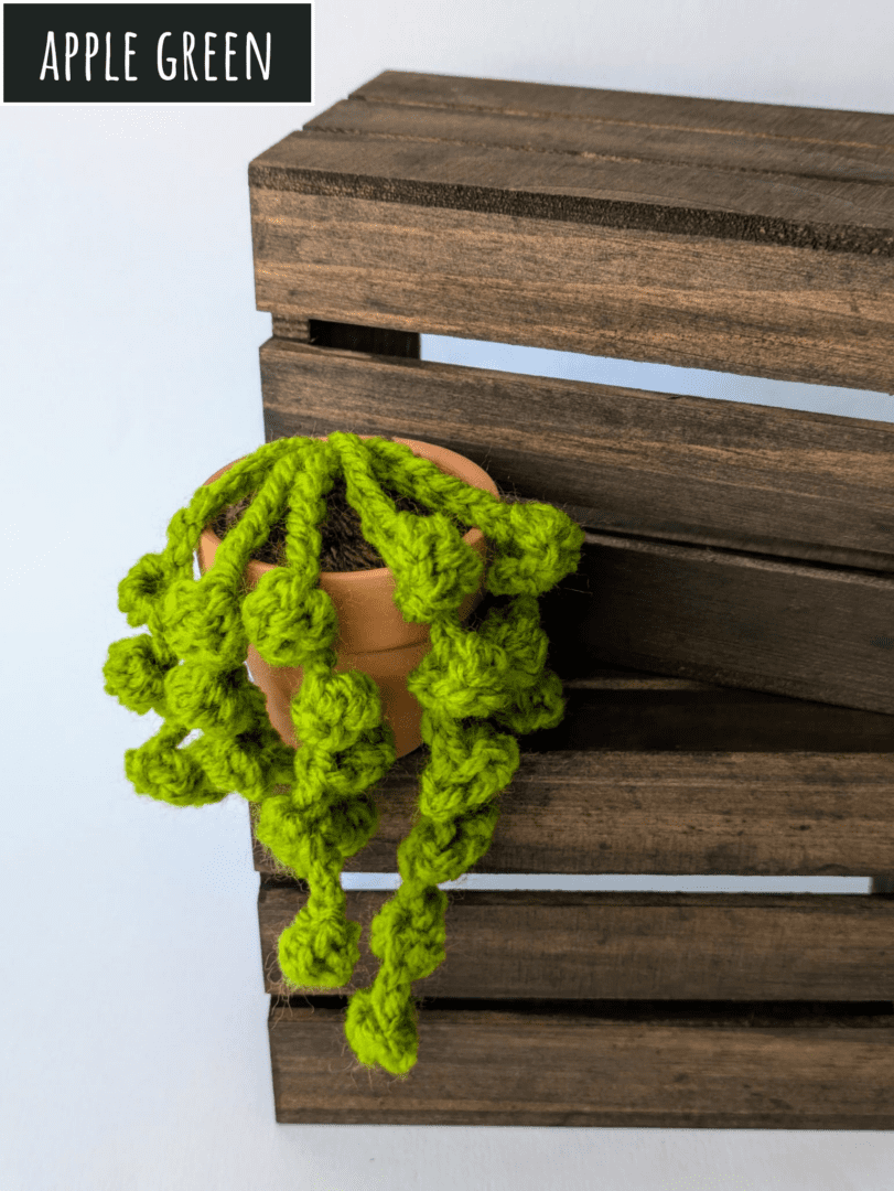 Crochet String of Pearls Succulent Plant Apple Green