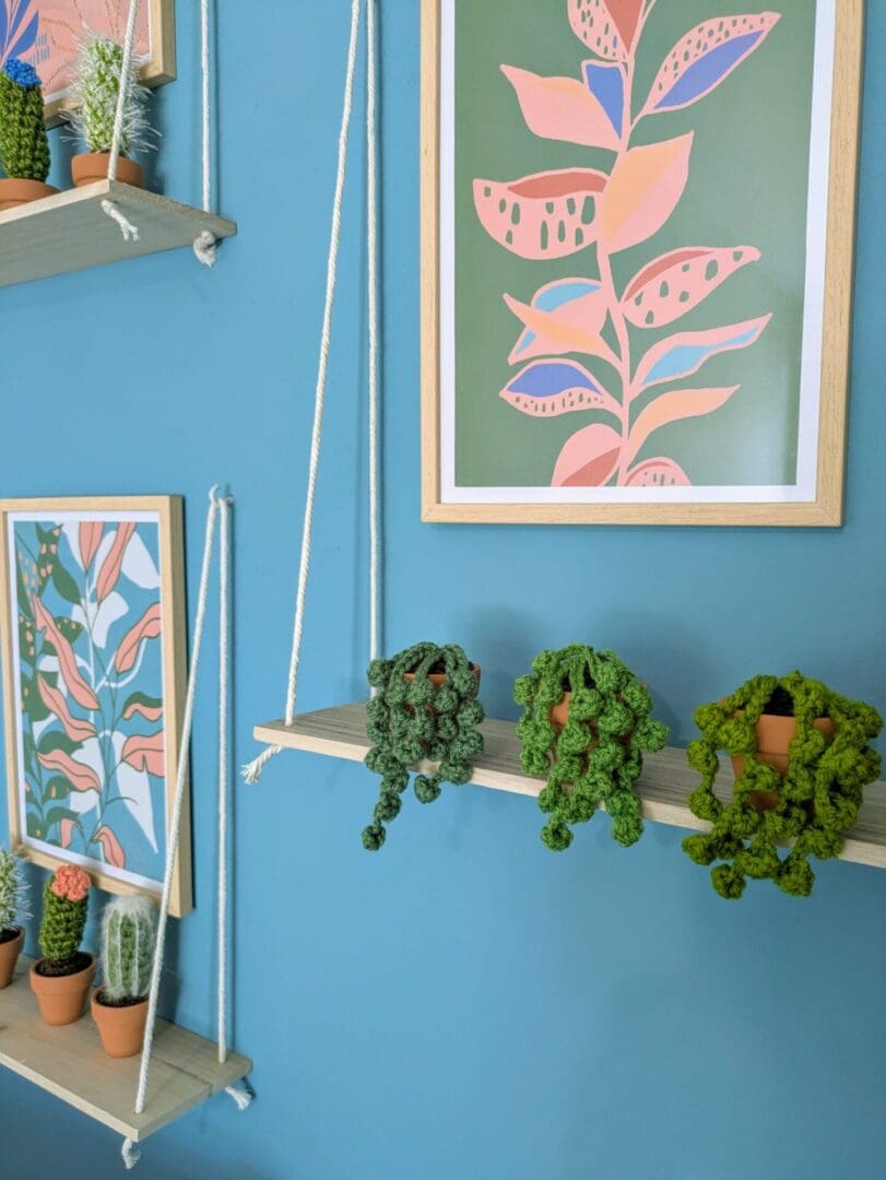 Crochet String of Pearls Succulent Plant Stylled on Colourful Shelves