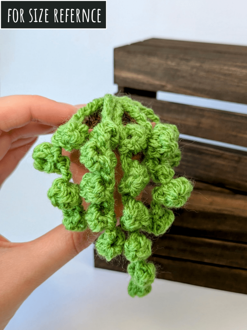 Crochet String of Pearls Succulent Plant in Hand Size Reference