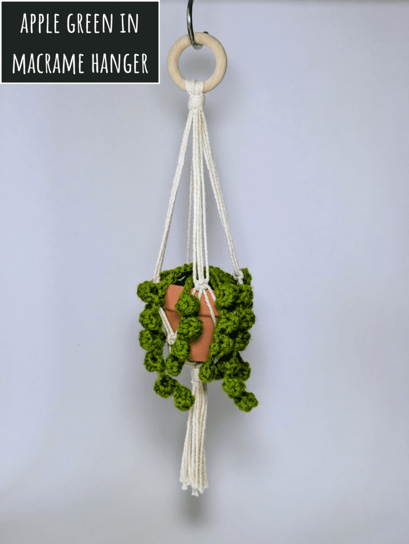 Crochet String of Pearls Succulent Plant in Handmade Macrame Plant Hanger Apple Green