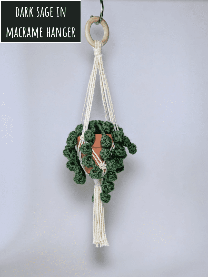 Crochet String of Pearls Succulent Plant in Handmade Macrame Plant Hanger Dark Sage