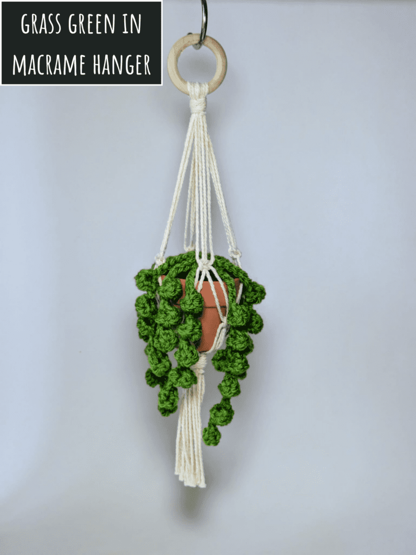 Crochet String of Pearls Succulent Plant in Handmade Macrame Plant Hanger Grass Green