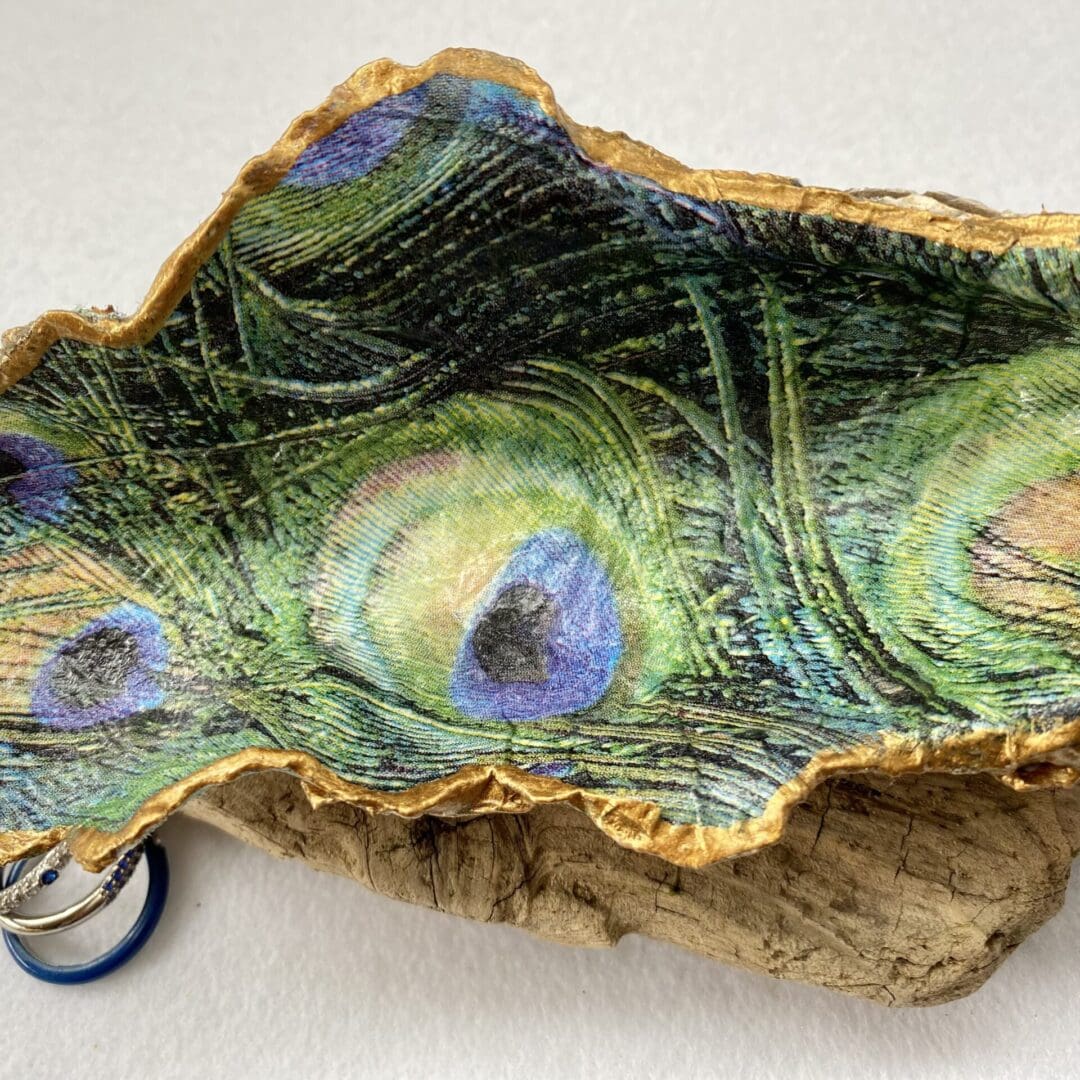 Peacock feather and decoupaged shell