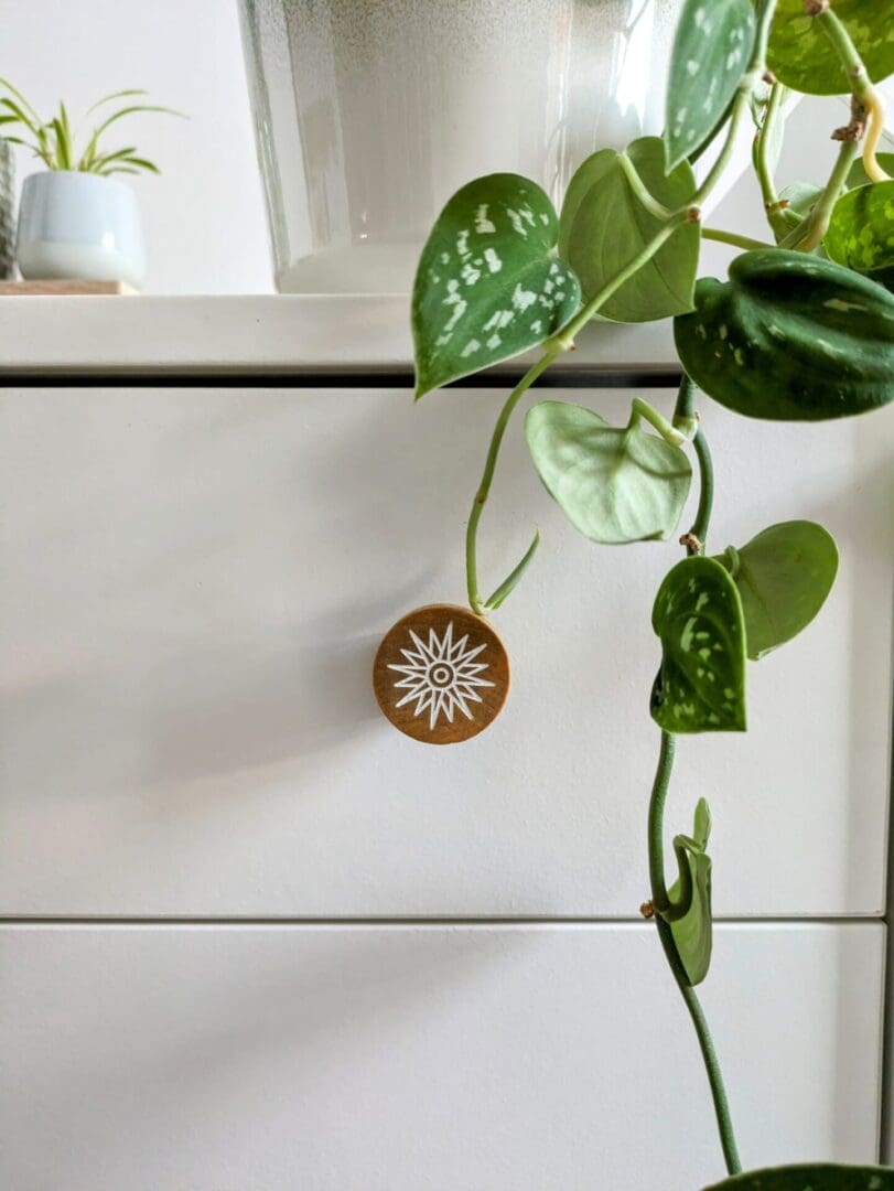 Mandala C Furniture Knob Styled on Furniture