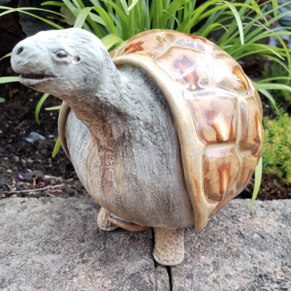 Roly Poly Ceramic Tortoise