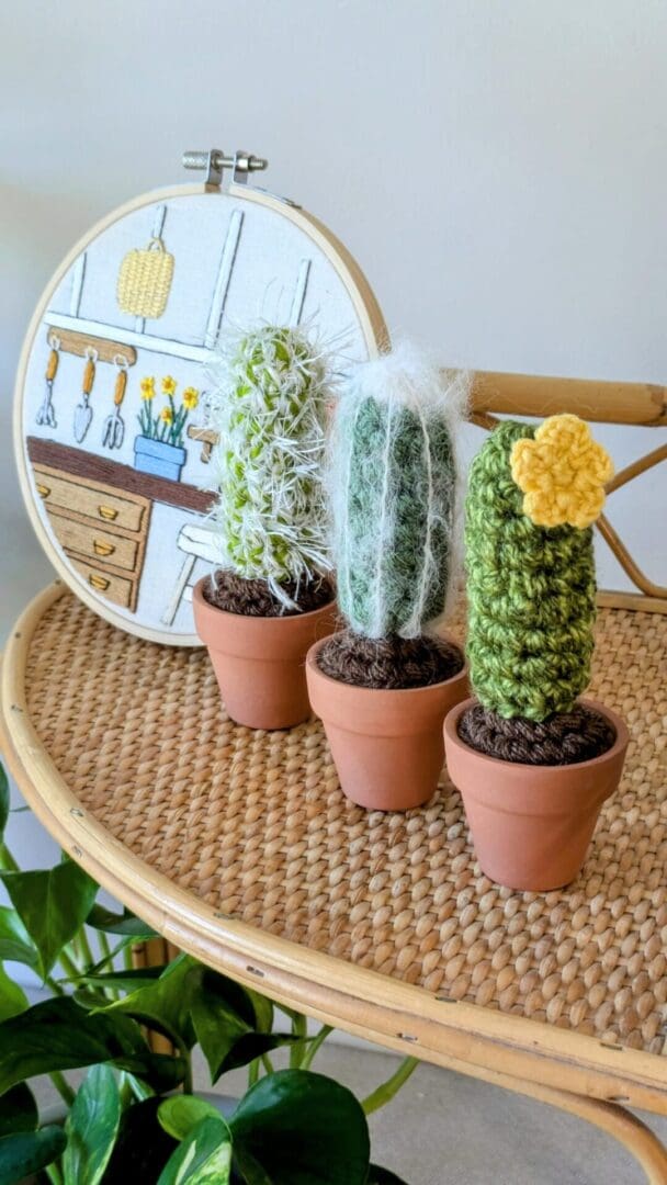 Set of Three Crochet Cacti on a Wicker Stand with an Embroidered Hoop