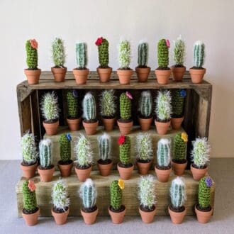 Multiple Crochet Cacti Displayed on a Wooden Crate