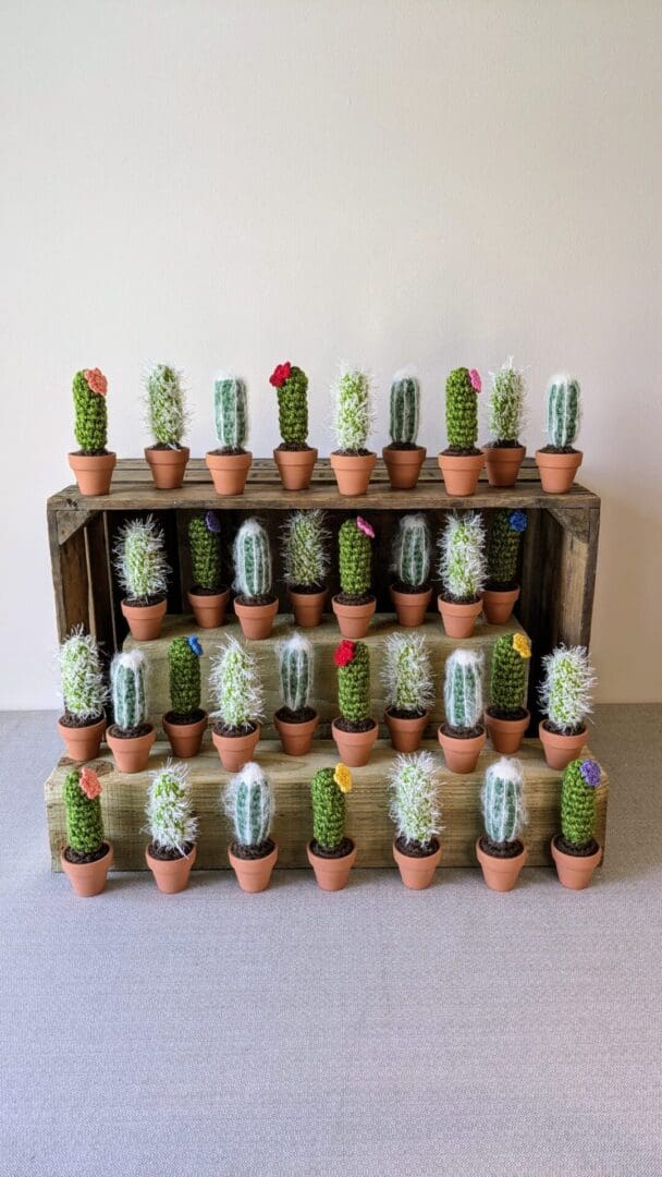 Multiple Crochet Cacti Displayed on a Wooden Crate