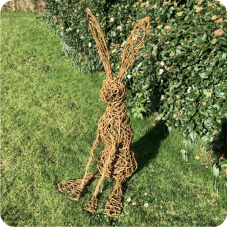 Willow Hare