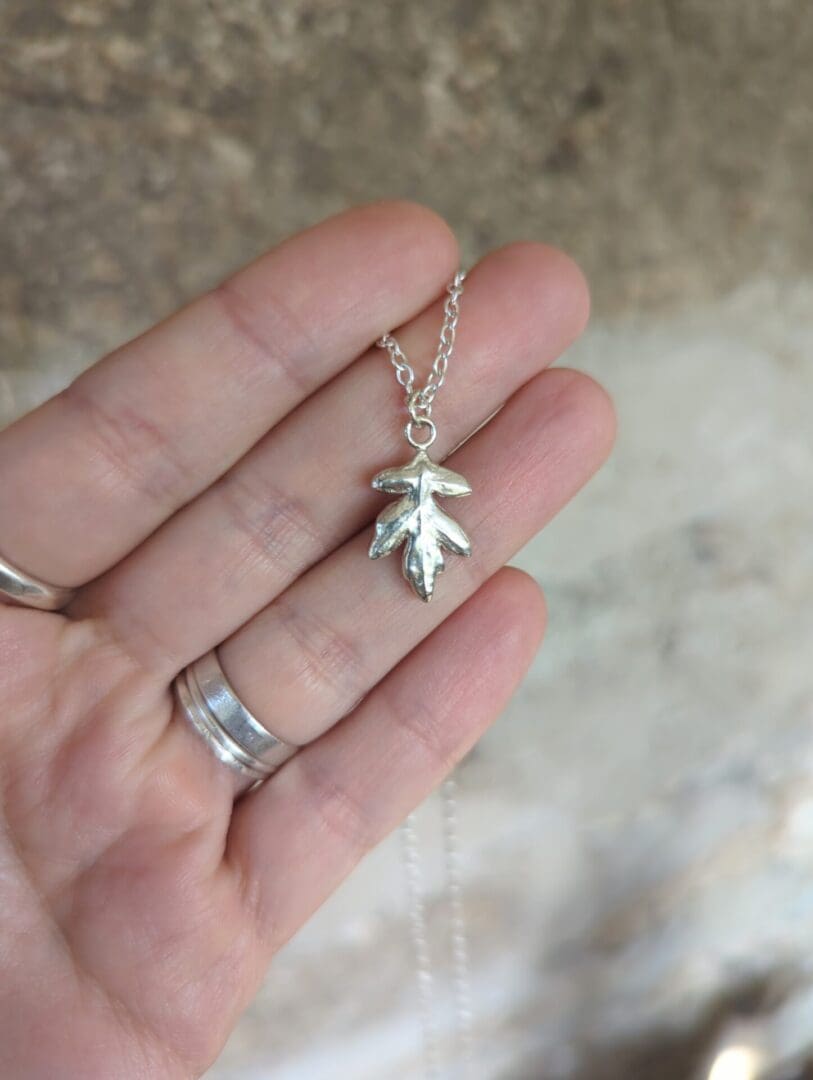 A silver hawthorn pendant and silver chain necklace is held by a hand wearing four silver rings