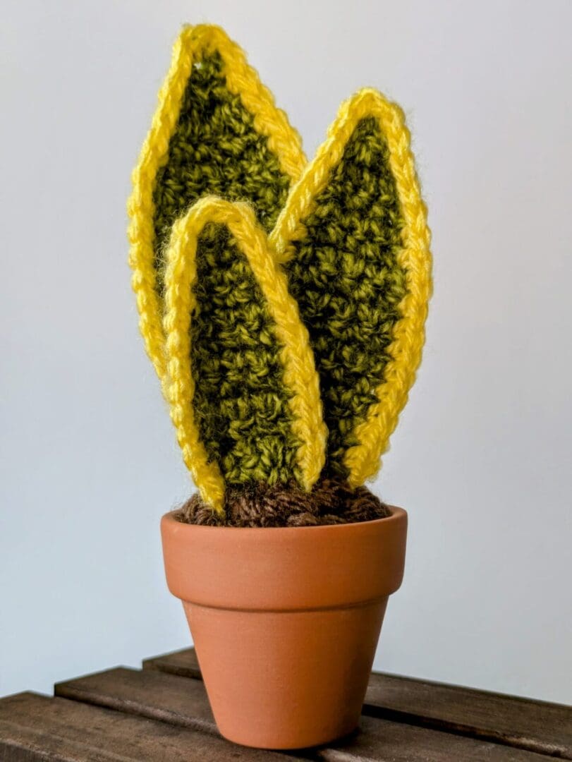 Crochet Plant - Close Up Crochet Snake Plant