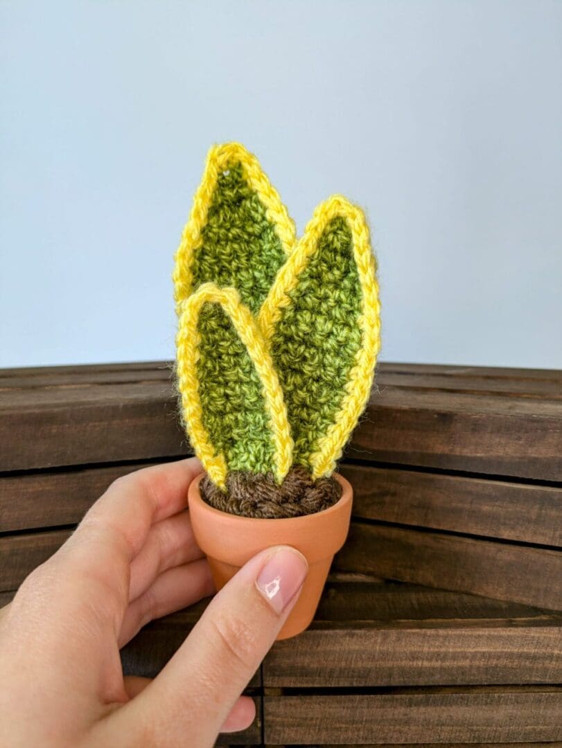 Crochet Plant in Hand for Size Reference