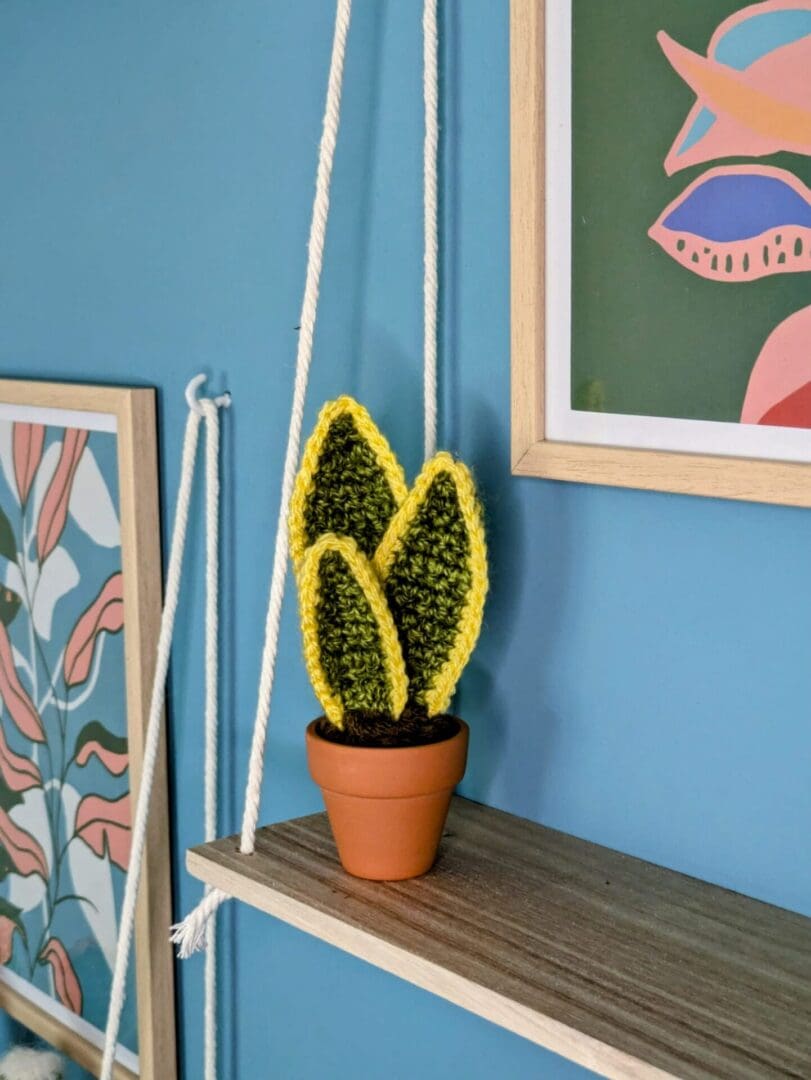 Crochet Snake Plant on Shelf with Colourful Print