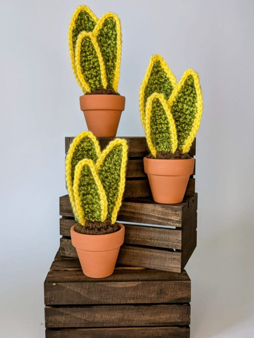 Crochet Snake Plants on Stack of Mini Wooden Crates