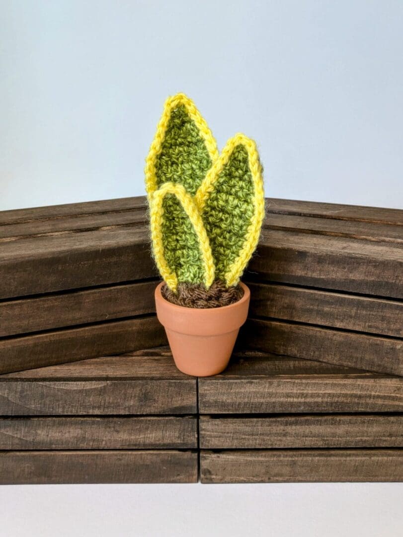 Individual Crochet Plant on Mini Wooden Crates