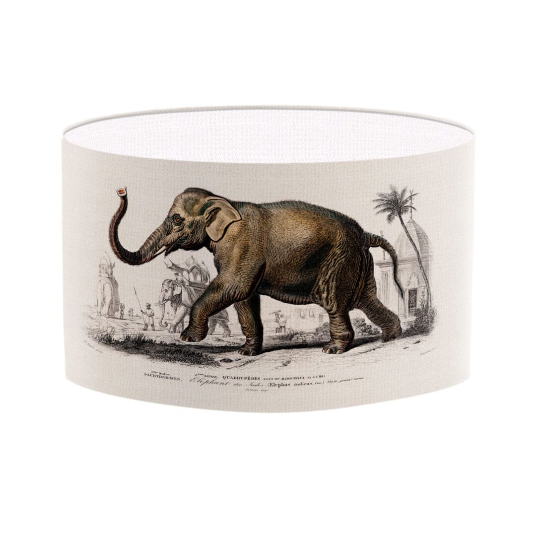 elephant print lampshade vintage illustration elephant lovers lamp shade