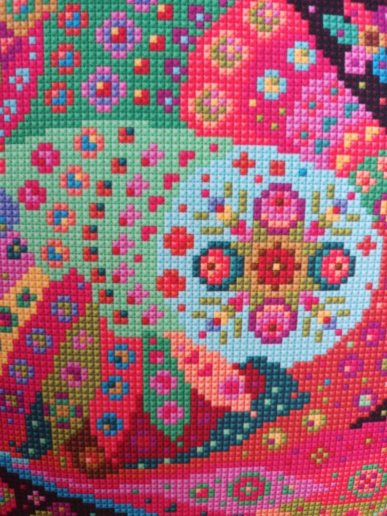 Mexican Bird Fiesta Velvet Cushion 4