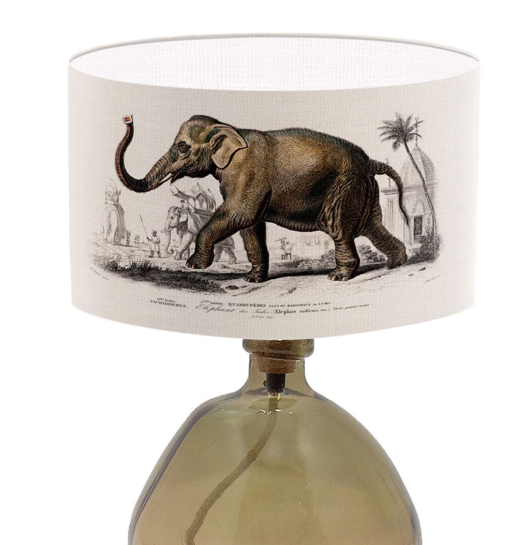 elephant print lampshade vintage illustration elephant lovers lamp shade