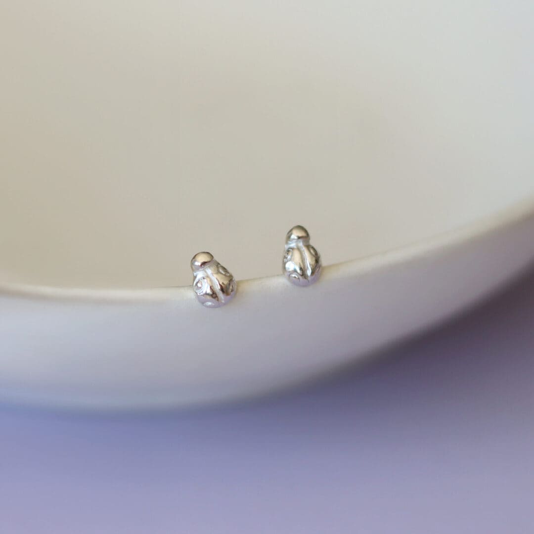 Close up of silver ladybird earrings resting on a ceramic bowl