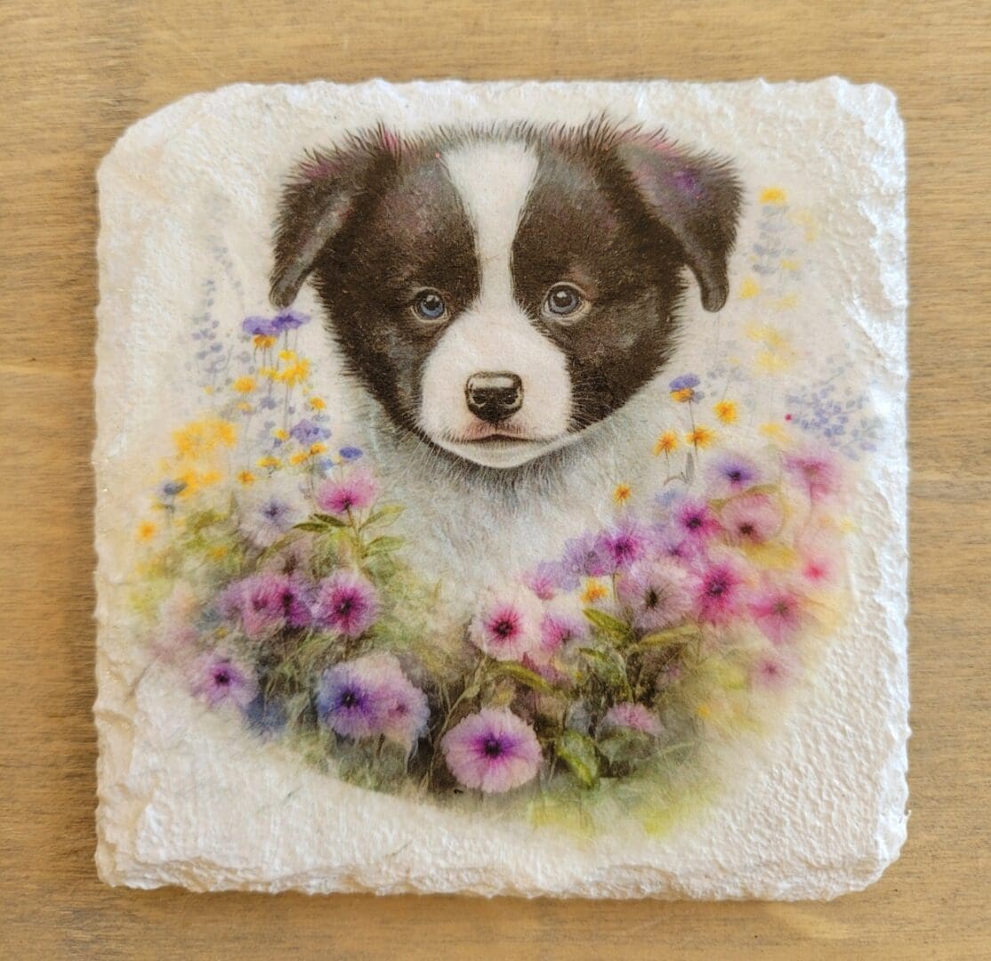 White painted slate coaster with border collie design