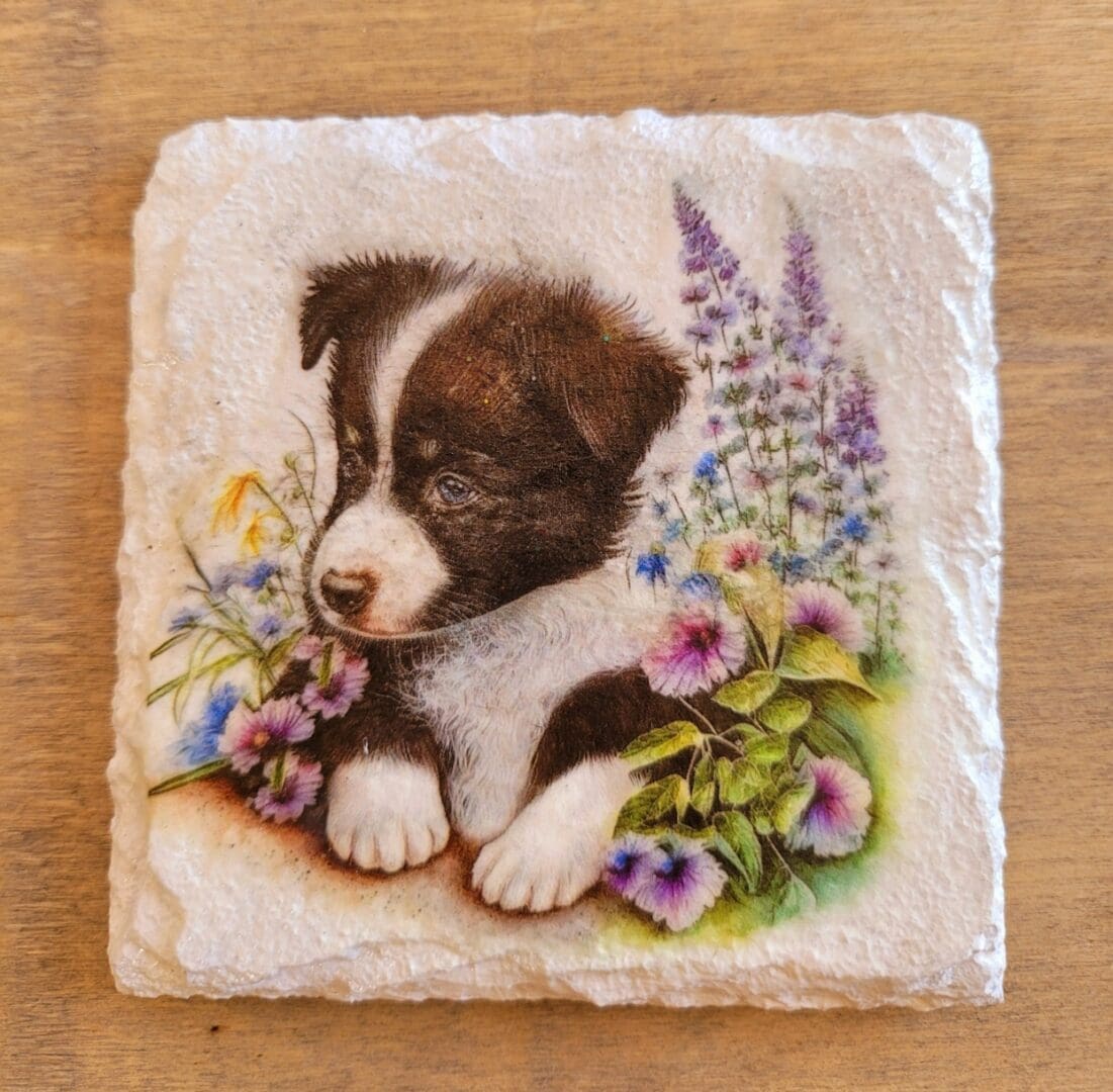 White painted slate coaster with border collie design