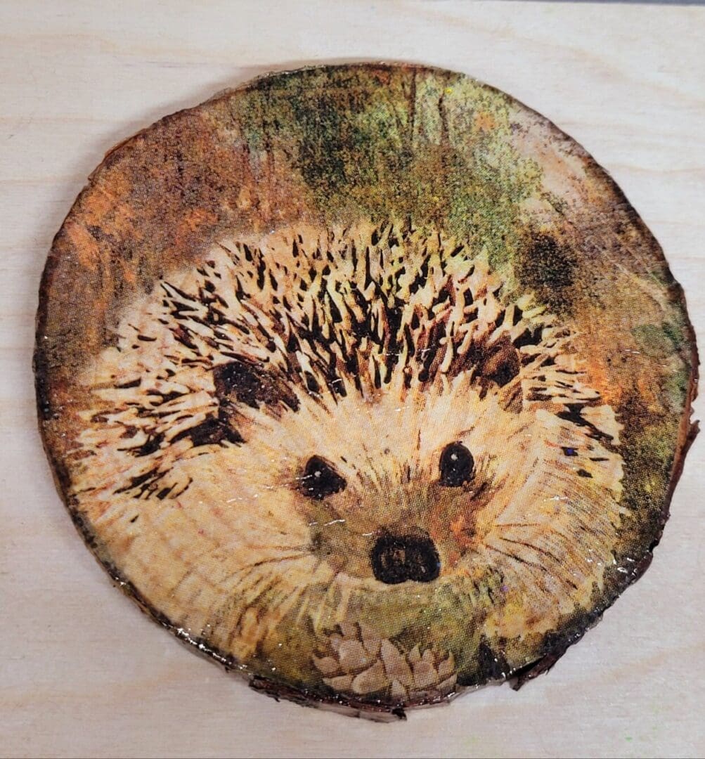 one round wood slice coaster, with a hedgehog image