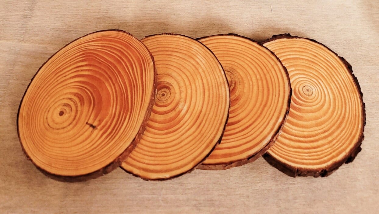 four plain round wood slice coasters