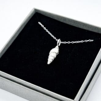 silver whelk shell on a silver chain in a grey and black gift box