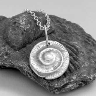 Ammonite in silver