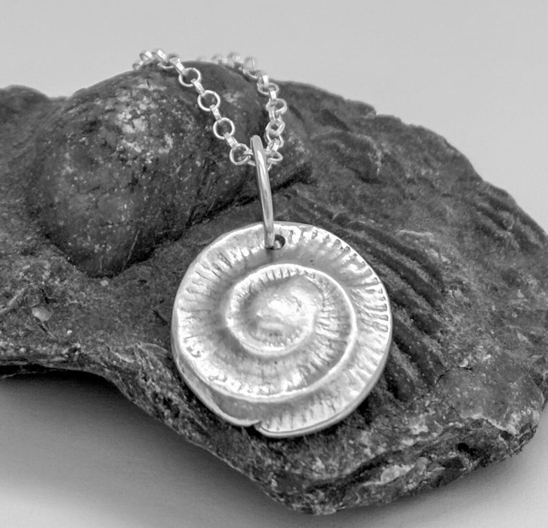 Ammonite in silver