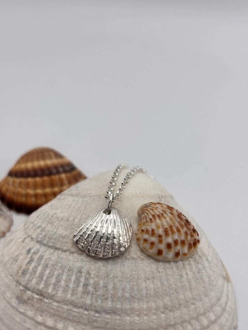 Clam shell pendant